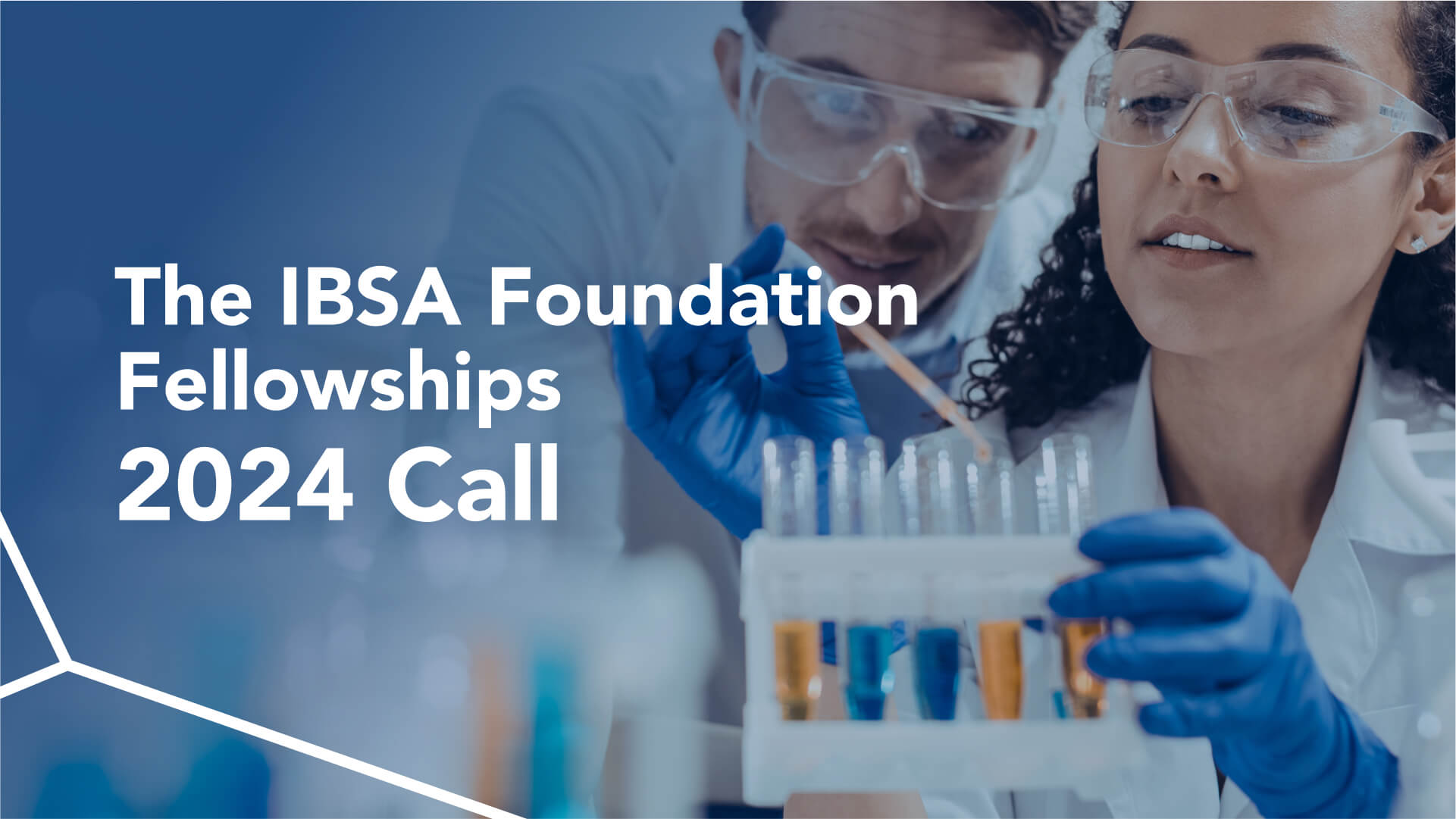 ibsa foundation fellowship 2024 call