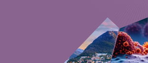 Forum Lugano 2025 Header flip 4