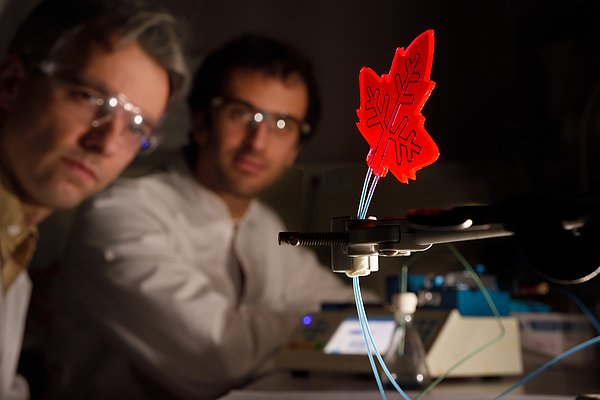 Artificial Leaf Produces Medicines With Sunlight | IBSA Foundation